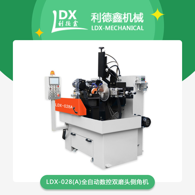 LDX-028(A).jpg